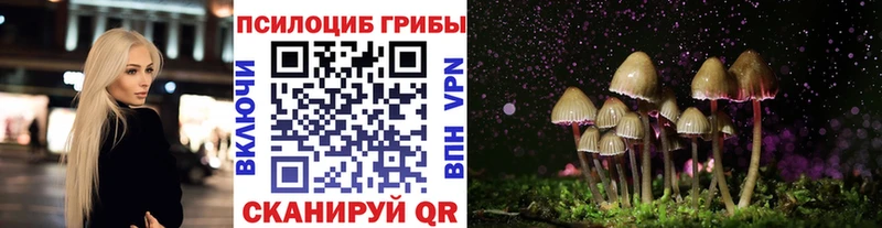 Псилоцибиновые грибы Psilocybe  Высоцк 