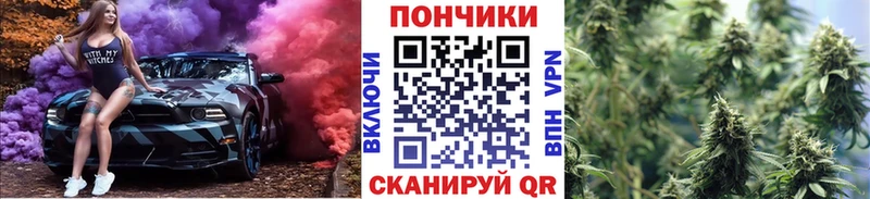 Канабис ГИДРОПОН Высоцк