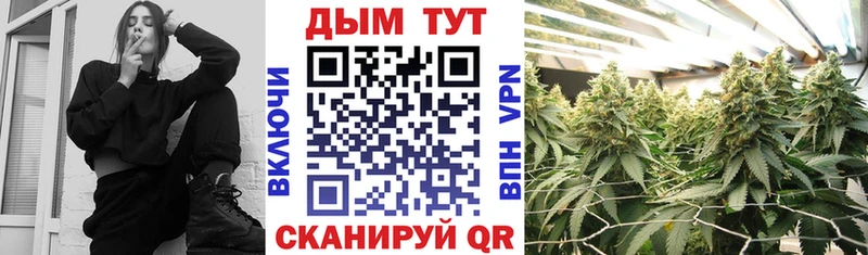 Каннабис MAZAR  Высоцк 